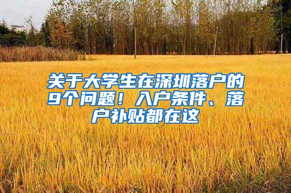 关于大学生在深圳落户的9个问题！入户条件、落户补贴都在这