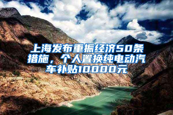 上海发布重振经济50条措施，个人置换纯电动汽车补贴10000元