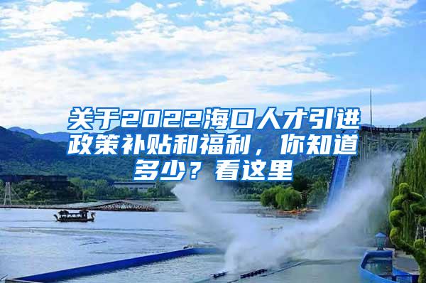 关于2022海口人才引进政策补贴和福利，你知道多少？看这里