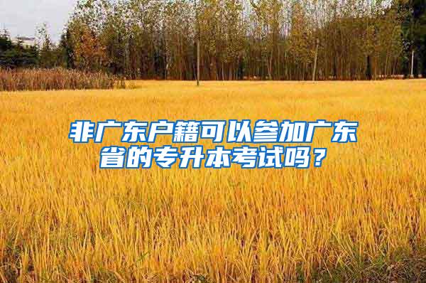 非广东户籍可以参加广东省的专升本考试吗？