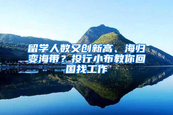 留学人数又创新高、海归变海带？投行小布教你回国找工作