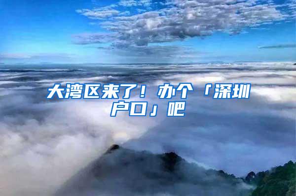 大湾区来了！办个「深圳户口」吧