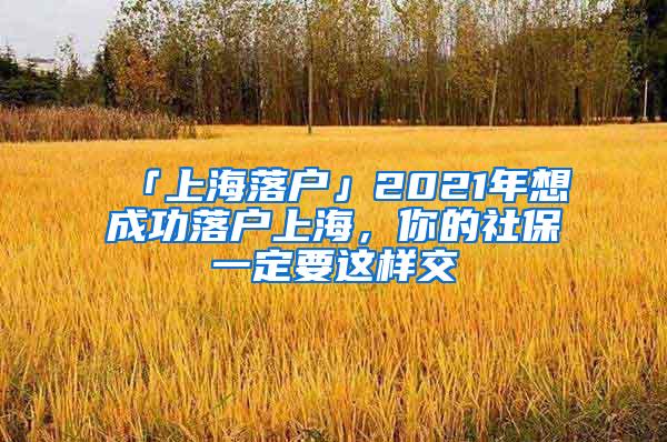 「上海落户」2021年想成功落户上海，你的社保一定要这样交