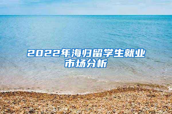 2022年海归留学生就业市场分析