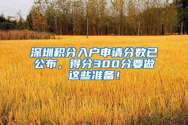 深圳积分入户申请分数已公布，得分300分要做这些准备！