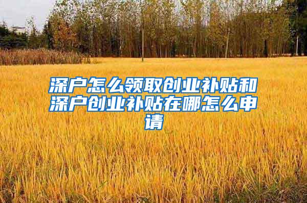 深户怎么领取创业补贴和深户创业补贴在哪怎么申请