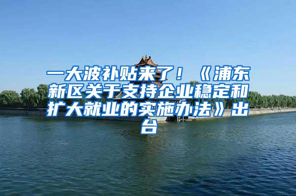 一大波补贴来了！《浦东新区关于支持企业稳定和扩大就业的实施办法》出台