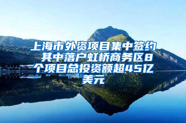 上海市外资项目集中签约 其中落户虹桥商务区8个项目总投资额超45亿美元