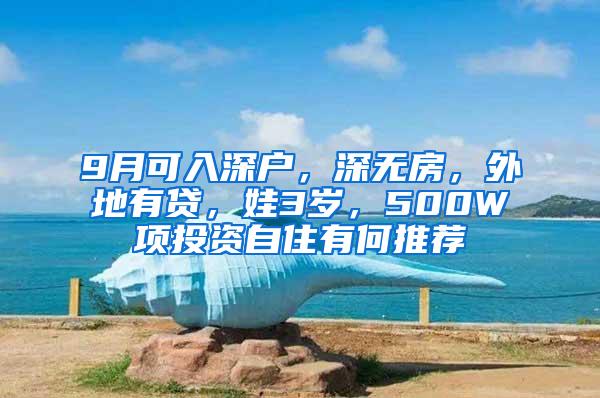 9月可入深户，深无房，外地有贷，娃3岁，500W项投资自住有何推荐