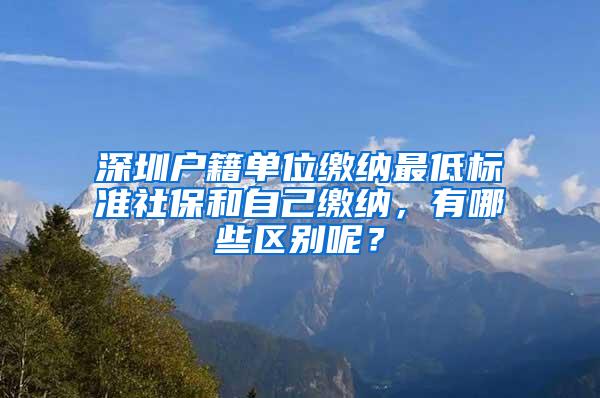 深圳户籍单位缴纳最低标准社保和自己缴纳，有哪些区别呢？