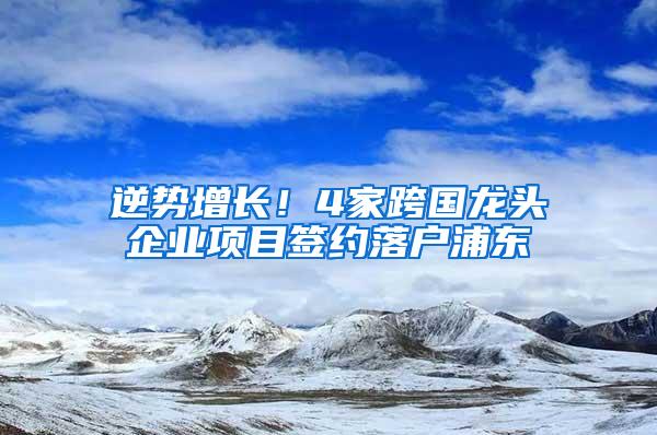 逆势增长！4家跨国龙头企业项目签约落户浦东