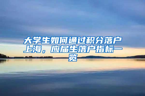 大学生如何通过积分落户上海，应届生落户指标一览