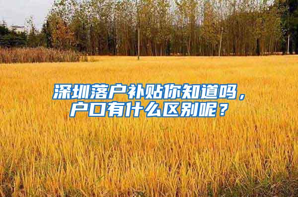 深圳落户补贴你知道吗，户口有什么区别呢？