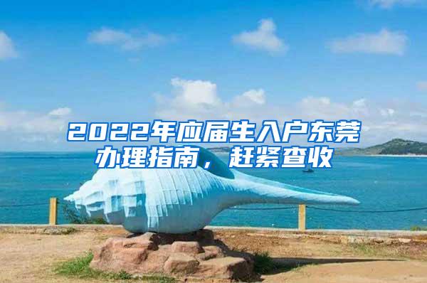 2022年应届生入户东莞办理指南，赶紧查收