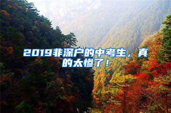 2019非深户的中考生，真的太惨了！