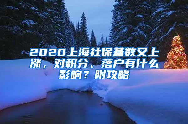 2020上海社保基数又上涨，对积分、落户有什么影响？附攻略