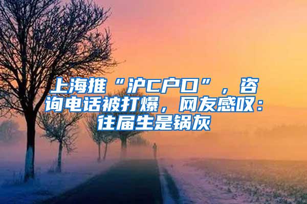 上海推“沪C户口”，咨询电话被打爆，网友感叹：往届生是锅灰