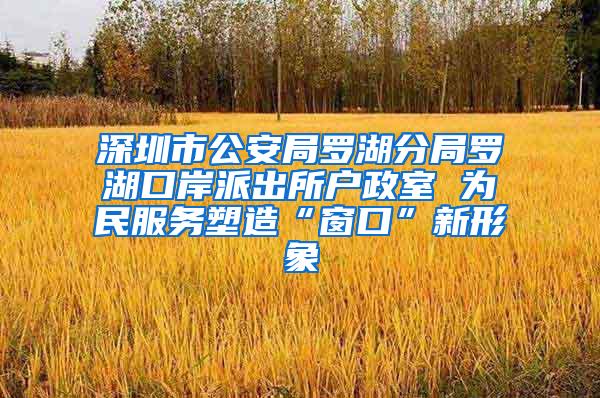 深圳市公安局罗湖分局罗湖口岸派出所户政室 为民服务塑造“窗口”新形象