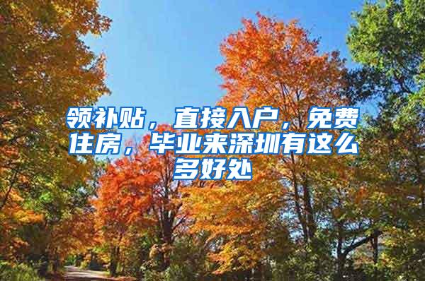 领补贴，直接入户，免费住房，毕业来深圳有这么多好处