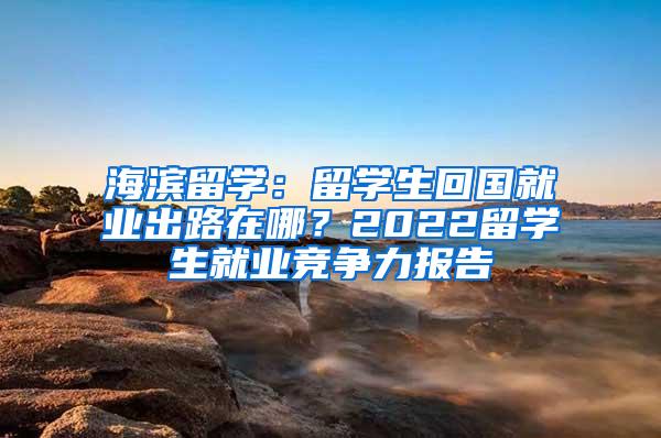 海滨留学：留学生回国就业出路在哪？2022留学生就业竞争力报告