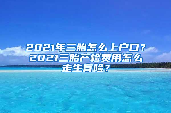 2021年三胎怎么上户口？2021三胎产检费用怎么走生育险？