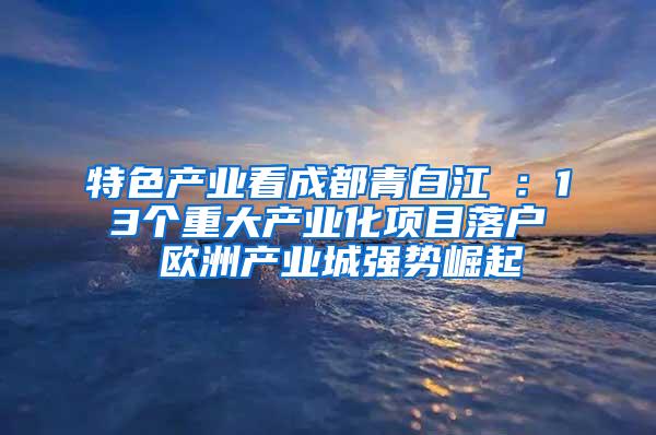 特色产业看成都青白江①：13个重大产业化项目落户 欧洲产业城强势崛起