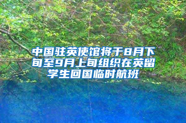 中国驻英使馆将于8月下旬至9月上旬组织在英留学生回国临时航班