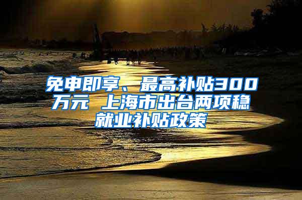 免申即享、最高补贴300万元 上海市出台两项稳就业补贴政策