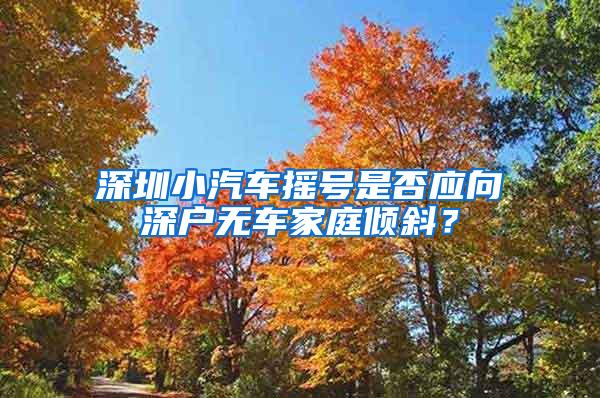 深圳小汽车摇号是否应向深户无车家庭倾斜？