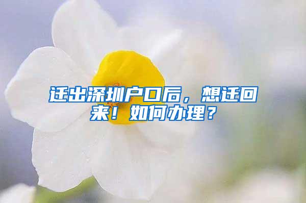 迁出深圳户口后，想迁回来！如何办理？