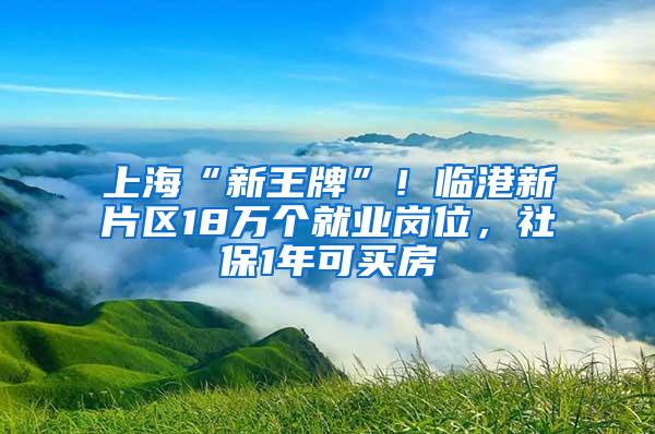 上海“新王牌”！临港新片区18万个就业岗位，社保1年可买房