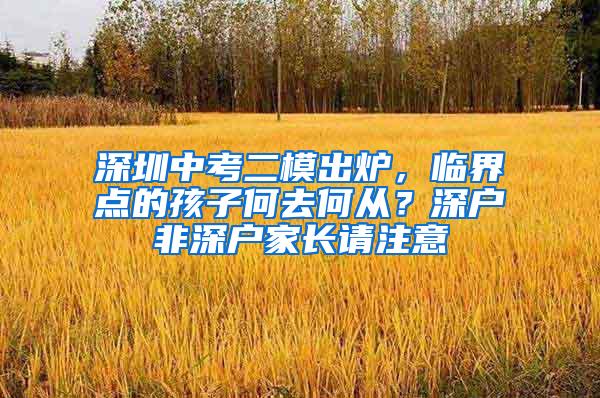 深圳中考二模出炉，临界点的孩子何去何从？深户非深户家长请注意