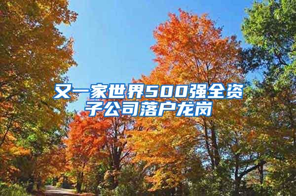 又一家世界500强全资子公司落户龙岗