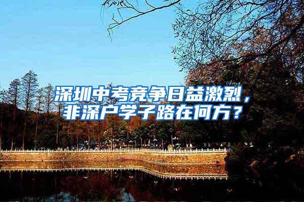深圳中考竞争日益激烈，非深户学子路在何方？