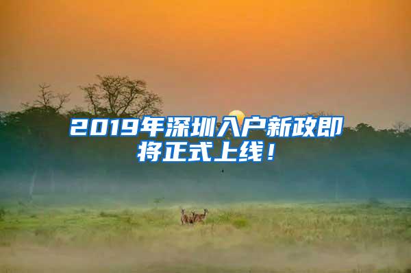 2019年深圳入户新政即将正式上线！