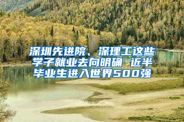 深圳先进院、深理工这些学子就业去向明确 近半毕业生进入世界500强