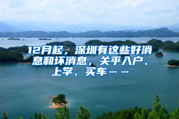 12月起，深圳有这些好消息和坏消息，关乎入户、上学、买车……