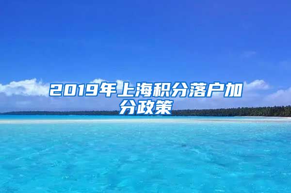 2019年上海积分落户加分政策