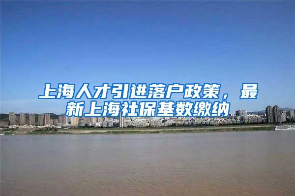 上海人才引进落户政策，最新上海社保基数缴纳