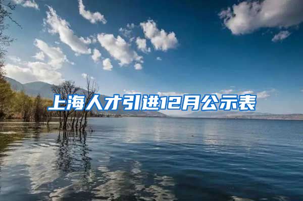 上海人才引进12月公示表