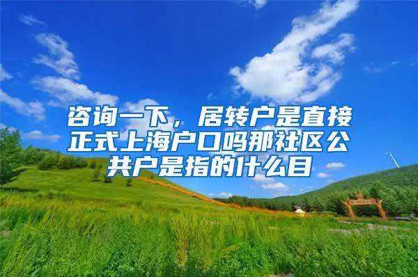 咨询一下，居转户是直接正式上海户口吗那社区公共户是指的什么目