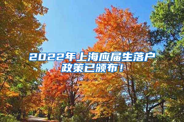 2022年上海应届生落户政策已颁布！