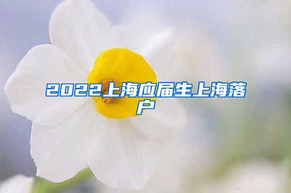 2022上海应届生上海落户