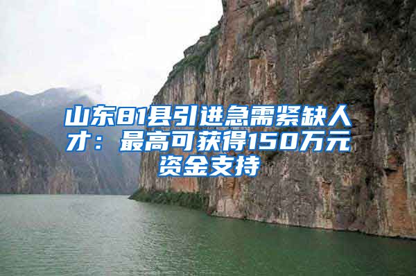 山东81县引进急需紧缺人才：最高可获得150万元资金支持