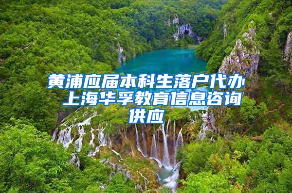 黄浦应届本科生落户代办 上海华孚教育信息咨询供应