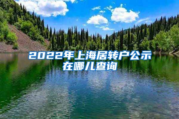 2022年上海居转户公示在哪儿查询