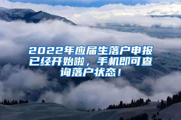 2022年应届生落户申报已经开始啦，手机即可查询落户状态！