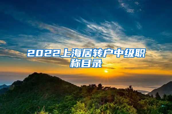 2022上海居转户中级职称目录