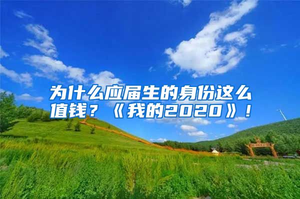 为什么应届生的身份这么值钱？《我的2020》！