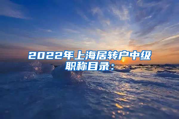 2022年上海居转户中级职称目录：